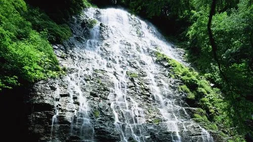 绿色独特